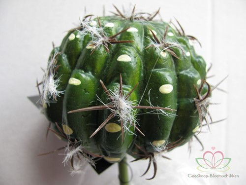 SMALL BALL CACTUS GREEN Zijde- Latex Cactus