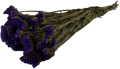 Statice sinuata natural Blue in hoes Lamsoor blauw +/- 70cm