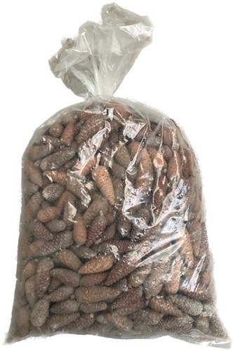 Denneappel Dicht Pinecone closed BULK +/- 10 kg Dennenappel  