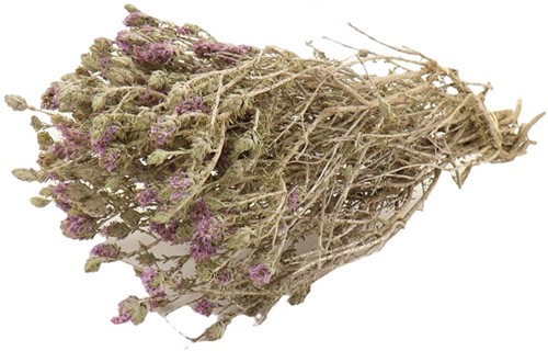 Menthe Polei in hoes bundel 70gr droogbloemen bundel
