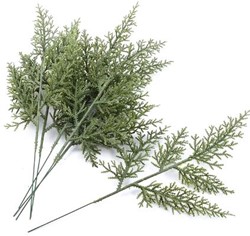 Asparagus pick bundel van 5, eenmalig vertakt, plastic