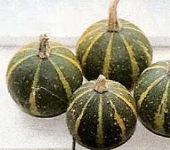 Ball Bicolor 
