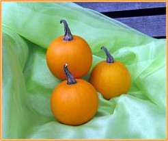 Ball Orange