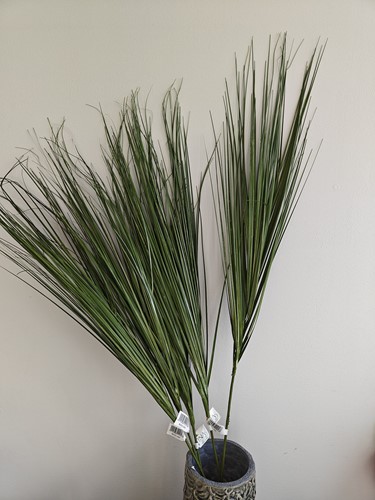 Actie Leuke Berengras toef op draad +/- 88cm. Berengras toef