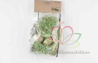 Exotic mix small Limegreen Mooie mix