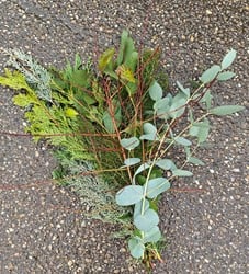 Actie Conifeermix gemengd conifeer bundel +/- 10 st /bundel Heel mooi en geurend groen van E 775 voor e 5.99
