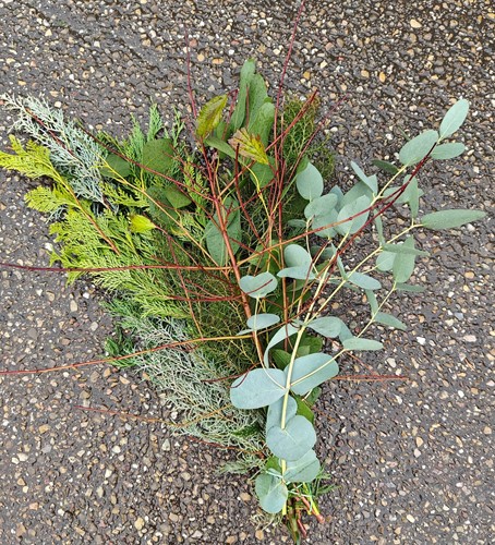 Actie Conifeermix gemengd conifeer bundel +/- 10 st /bundel Heel mooi en geurend groen van E 775 voor e 5.99