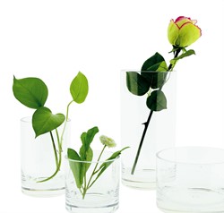 Onbreekbare Vaas 15x40cm. Unbreakable Glass