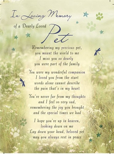Rouwkaart herdenkingskaart In loving memory of a DEARLY LOVED PET overlijden huisdier Geplastificeerd 16.5 X 12cm