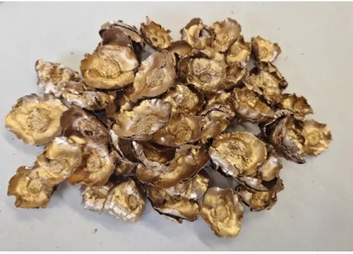 Coco flower gold 250 gram