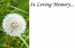 Condoleancekaart In Loving Memory Paardenbloem Condoleancekaart In Lovin
