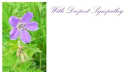 Condoleancekaart WITH DEEPEST SYMPATHY Rouwkaart