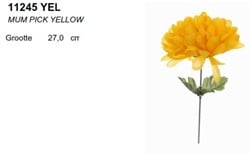 Dahlia Mum pick GEEL / st Dahlia Mum pick