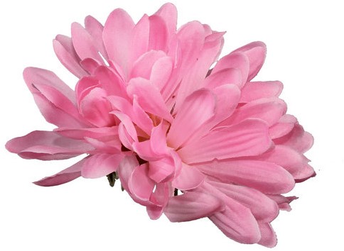 Dahliabloem los Roze 8-10 cm. dia/ stuk losse bloem 10 cm.