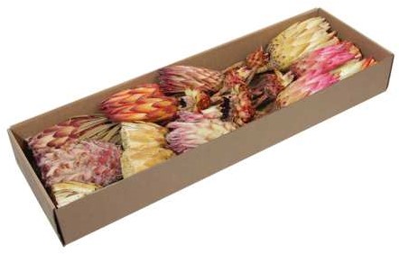 Protea de luxe assortiment naturel doos 26 stuks - Bijzondere Exotische Droogbloem