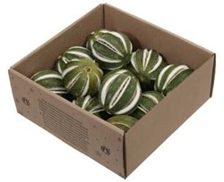 Gekerfde limoenen, groene sinaasappel 9 st  – Perfect voor Groendecoraties en Bloemschikken