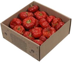 Mini pompoentjes +/- 250 gr Mini pompoentjes in doosje of zak