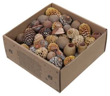 Leucodendron assortiment naturelkleuren 640 gr – Perfect voor Groendecoraties en Bloemschikken