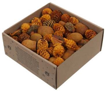 Leucodendron assortiment naturelkleuren 640 gr – Perfect voor Groendecoraties en Bloemschikken