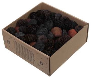 Leucodendron assortiment naturelkleuren 640 gr – Perfect voor Groendecoraties en Bloemschikken