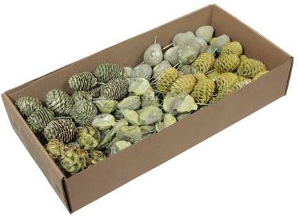 Leucodendron assortiment naturelkleuren 640 gr – Perfect voor Groendecoraties en Bloemschikken