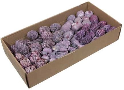 Leucodendron assortiment naturelkleuren 640 gr – Perfect voor Groendecoraties en Bloemschikken