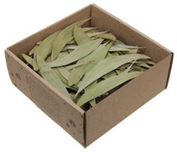 Actie Eucalyptusbladeren Eucalyptusblaadjes doosje 100 gr – Perfect voor Groendecoraties en Bloemschikken