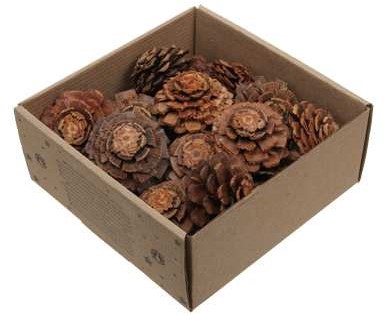 Dennenappel Flower cut Naturel doosje 23st – Perfect voor Groendecoraties en Bloemschikken