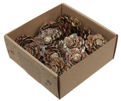 Dennenappel Flower cut Gold Wash doosje 23st – Perfect voor Groendecoraties en Bloemschikken