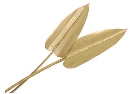 Palm Arrow 25- Goud Gold wash Palm blad