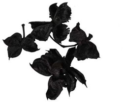 Cottonpods Zwart Black 250 gr katoenpods