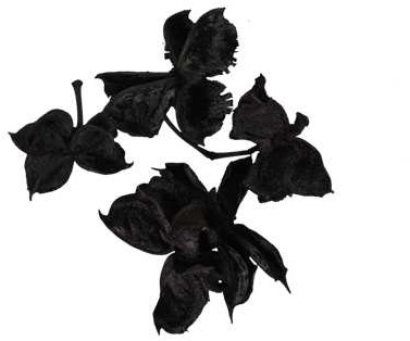 Cottonpods Zwart Black 250 gr katoenpods