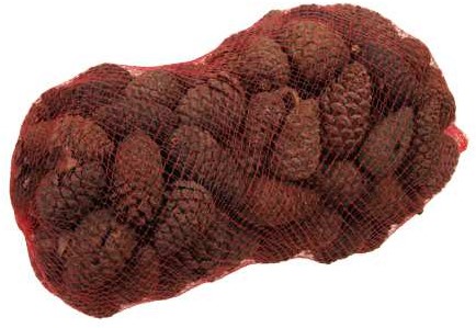 Denneappel Dicht Pinecone closed mix +/- 1 kg Dennenappel  