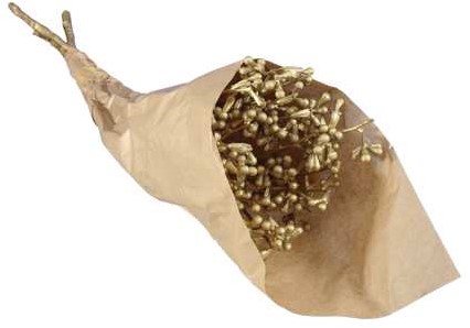 Eucalyptusfruit op tak Goud 55cm / boeket Eucalyptusfruit 
