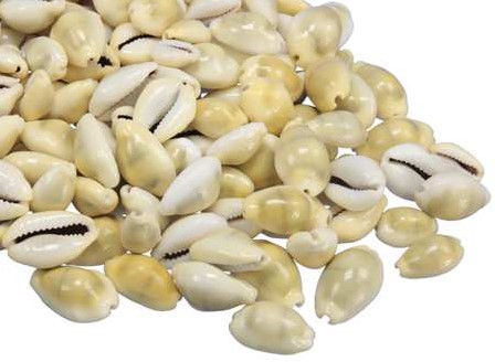 Actie Cypraea Moneta schelpen  cremewit, 500gr