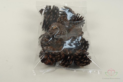 Denneappels Pinecone LAK 250gr Denneappels LAK