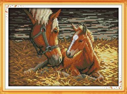 Borduurpakket schilderij Paarden , moeder en zoon 14ct Canvas  ook voor beginners