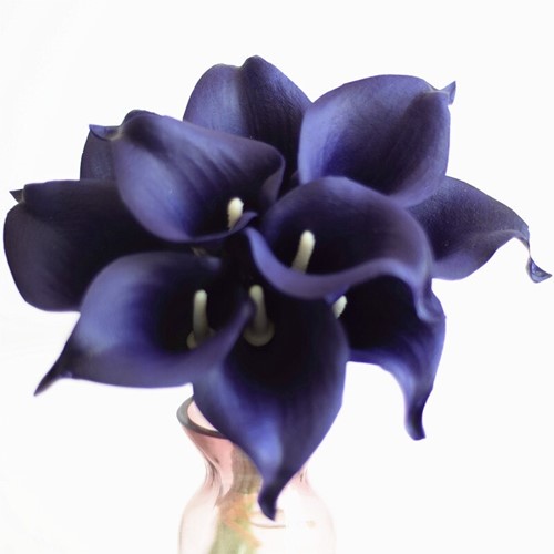 Calla Real Touch Dark Purple +/-7 cm. en 37cm lang. / st Calla Real Touch +/- 7 cm.