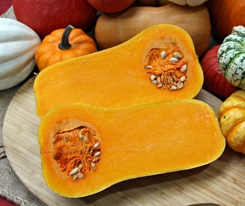 Butternut Emily F1 Vroege flespompoen
