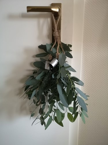  Actie Bosje Eucalyptus DHZ [ zonder accessoires] vers lekker geurend