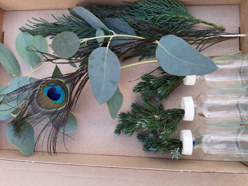 3 Flesjes bloemen Gemengdgroen + Eucalyptus + 1 Pauwenveer  in een doosje Een groet die iets doet