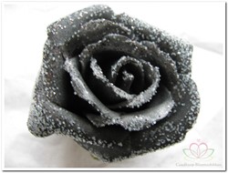 foam Rose Emilia 6cm. snow Black BUNDEL7 Bundel 7 stuks