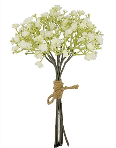 Gipskruid Dry color cream 29cm bundel   Gipskruid voor corsage of bloemen 