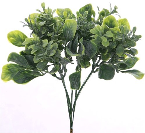 Corsagevuller blad Leafy pick/ st corsage vuller