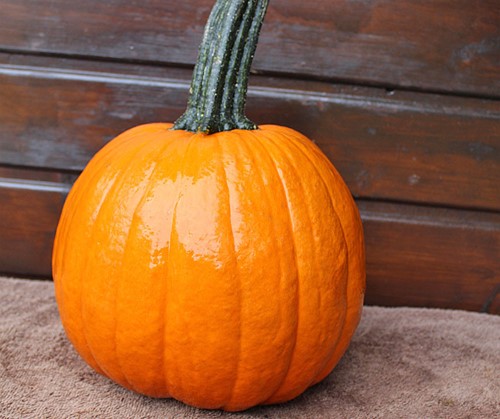 Hal. Gumdrop F1 PMT Opvallende halloweenpompoen