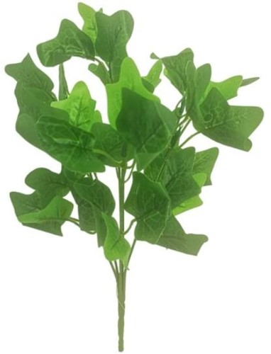 Hedera Bundel Large Ivy bush Groen 32 cm Hedera Bush 