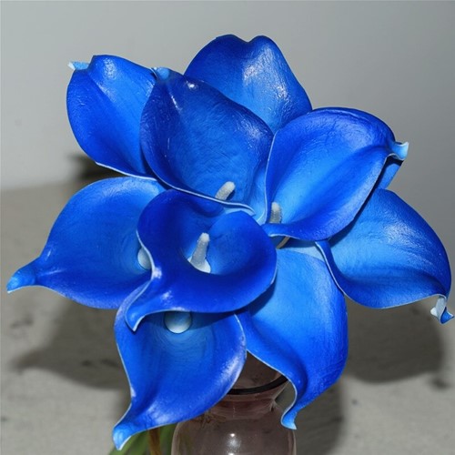 Calla Real Touch Bright Blue +/- 7 cm. en 37cm lang. / st Calla Real Touch +/- 7 cm.