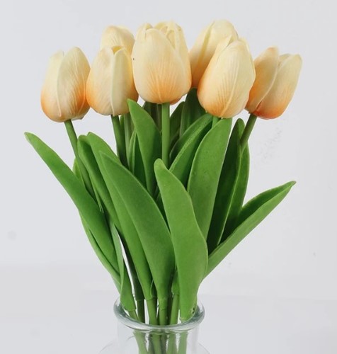 Actie Tulp Tulpen 33cm bundel kleur Champage H / Bundel +/-10st Tulpen Real Touch Foam