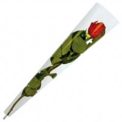Hoes voor enkele bloem 45x12x3cm transparant PAK50 Valentijn Gift 45x12x3cm 35micron