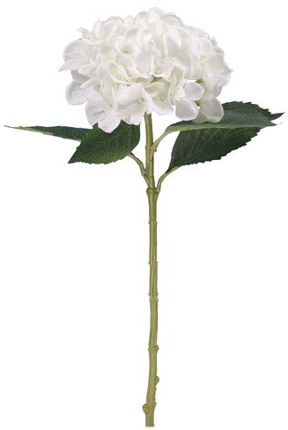 Hortensia Hydrangea Ivoorwit 51cm. Hortensia